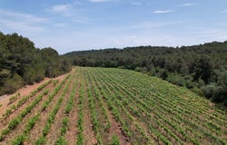 Creissan, Occitanie 34370