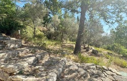 Goult, Vaucluse 84220