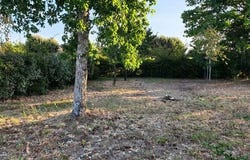 NIEULLE SUR SEUDRE, Poitou-Charentes 17600