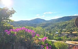 Bormes-les-Mimosas, Provence-Alpes-Côte-d'Azur 83230