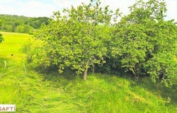 Bonvillet, Lorraine 88260
