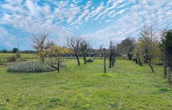 LA MAGDELEINE, Poitou-Charentes 16240