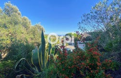 Cavalaire Sur Mer, Provence-Alpes-Côte d'Azur 83240