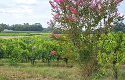 Blaye, Aquitaine 33390