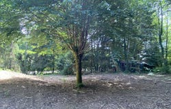 Eymoutiers, Limousin 87120