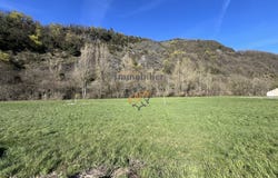 Brusque, Midi-Pyrénées 12360