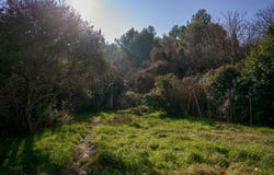 Barbentane, Provence-Alpes-Côte-d'Azur 13570