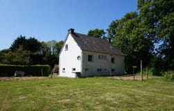 Pabu, Brittany 22200