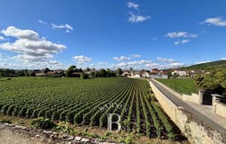 Meursault, Burgundy 21190