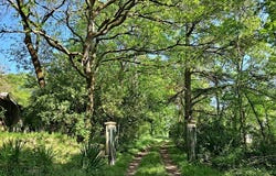Vic-Fezensac, Occitanie 32190
