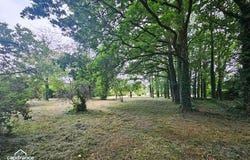 POUZAUGES, Pays de la Loire 85700