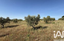 Paulhan, Occitanie 34230