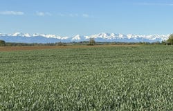 Masseube, Midi-Pyrénées 32140