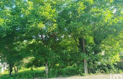 SOUPPES-SUR-LOING, Île-de-France 77460