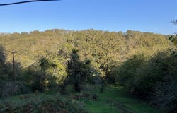 Mouterre-sur-Blourde, Poitou-Charentes 86430