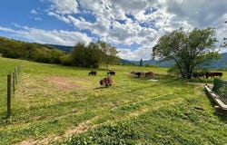 Puivert, Languedoc-Roussillon 11230