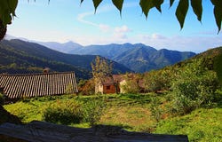 Rosazia, Corsica 20121