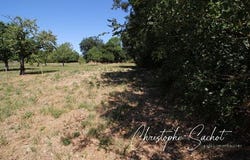 Fors, Poitou-Charentes 79230