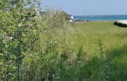 Plougasnou, Brittany 29630