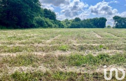 Sault-de-Navailles, Nouvelle-Aquitaine 64300