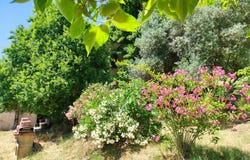 Volonne, Provence-Alpes-Côte-d'Azur 04290