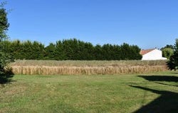 Loulay, Charente-Maritime
