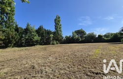 Thuir, Occitanie 66300