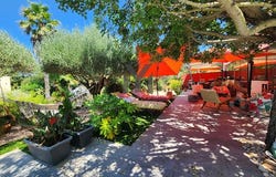 Bormes-les-Mimosas, Provence-Alpes-Côte d'Azur 83230