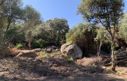 Sotta, Corsica 20146