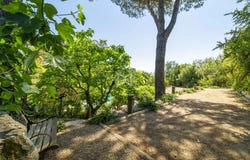 Pégomas, Provence-Alpes-Côte-d'Azur 06580