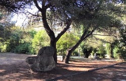Martigues, Martigues, Provence-Alpes-Côte d'Azur 13500