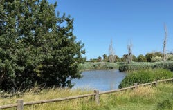 Saint-Cyprien, Languedoc-Roussillon 66750