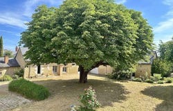 Brissac Quincé, Pays de la Loire 49320