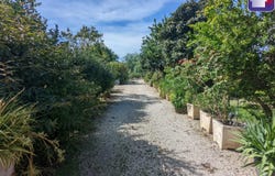 Palaminy, Midi-Pyrénées 31220