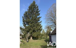 Lailly-en-Val, Centre-Val de Loire 45740