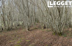 Dournazac, Nouvelle-Aquitaine 87230