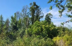 Angles-Sur-l'Anglin, Poitou-Charentes 86260