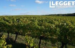 Sainte-Gemme, Nouvelle-Aquitaine 33580