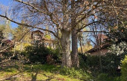 La Côte-Saint-André, Isère 38260