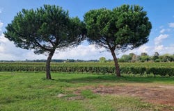 Langon, Gironde 33210