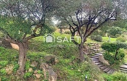 Serra-Di-Ferro, Corse 20140