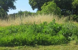 CLAIRAC, Aquitaine 47320