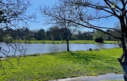 Vertou, Pays de la Loire 44120