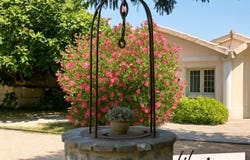 Oraison, Provence-Alpes-Côte-d'Azur 04700