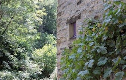 Lacaze, Midi-Pyrénées 81330