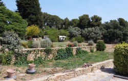 La Cadière-d'Azur, Var 83740