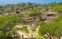 Vidauban, Provence-Alpes-Côte-d'Azur 83550