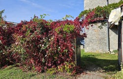 Yenne, Savoie 73170