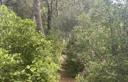 10bis Chemin Paul Cézanne, Sausset-les-Pins, Bouches-du-Rhône 13960