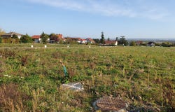 Cernay, Grand Est 68700